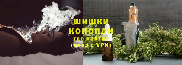 Альфа ПВП Аркадак