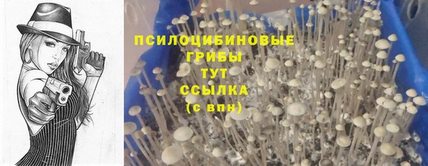 MDMA Арсеньев