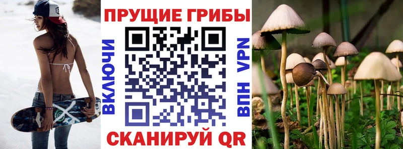 МЕГА рабочий сайт  как найти   Новодвинск  Галлюциногенные грибы Psilocybine cubensis 